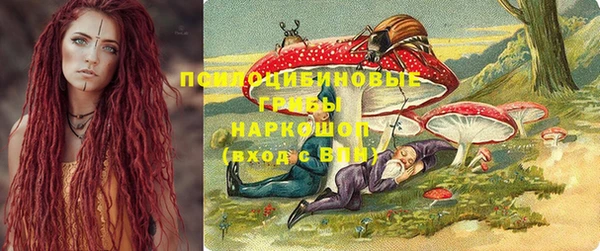 скорость Гусев