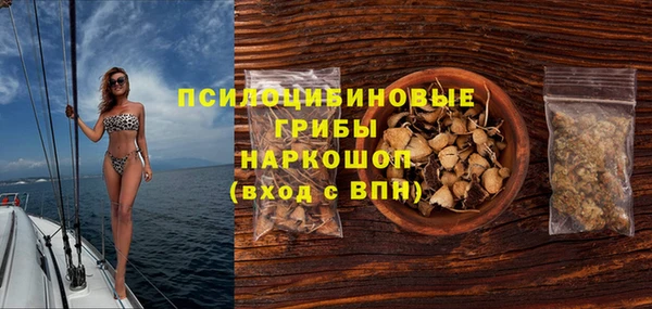 ПСИЛОЦИБИНОВЫЕ ГРИБЫ Горно-Алтайск
