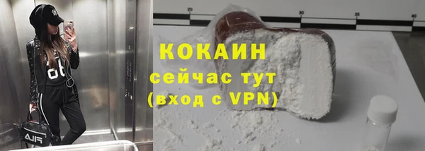 ПСИЛОЦИБИНОВЫЕ ГРИБЫ Горно-Алтайск