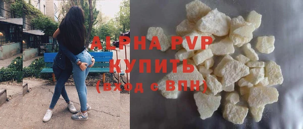 ПСИЛОЦИБИНОВЫЕ ГРИБЫ Горно-Алтайск