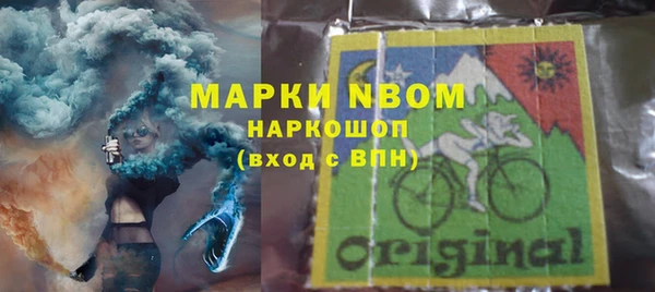 ПСИЛОЦИБИНОВЫЕ ГРИБЫ Горно-Алтайск