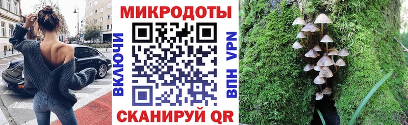 цена   mega зеркало  Галлюциногенные грибы прущие грибы  Дзержинский 